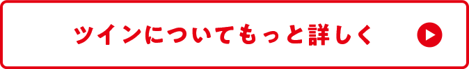 ツインについてもっと詳しく